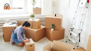 Personal Storage for Moving Dubai