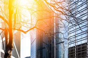 Climate Sensitivity Is Higher Than Most Businesses Realise storage space dubai