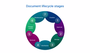 The Document Lifecycle Audit storage space dubai The Document Lifecycle Audit storage space dubai