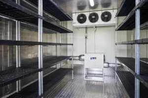 What climate control actually does storage space dubai What climate control actually does storage space dubai