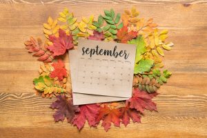 Why September always feels like a sprint storage space dubai Why September always feels like a sprint storage space dubai